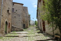 Img_6861