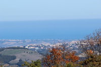 Img_9422