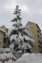 SAM_3720