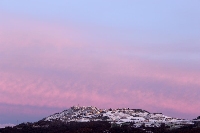 Morrone vestito di rosa